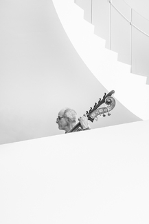 Fiddlehead Fiddlehead