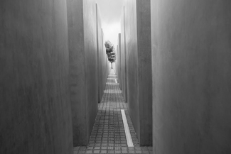 Just a bit of hope Just a bit of hope