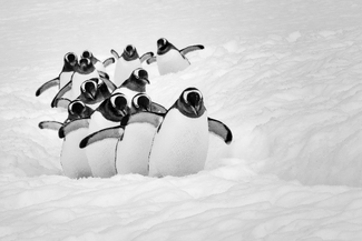 Follow the guide Follow the guide