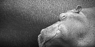 A Cuddle with Mom A Cuddle with Mom