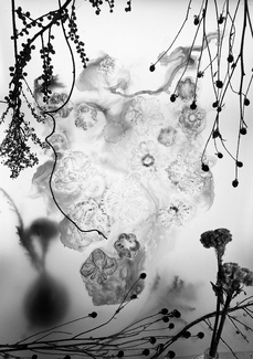 Winter Dreaming 1 Winter Dreaming 1