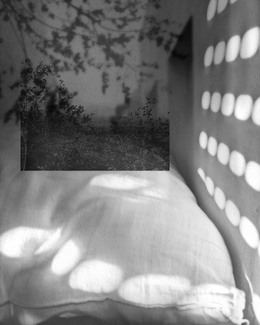 INscape 240 INscape 240