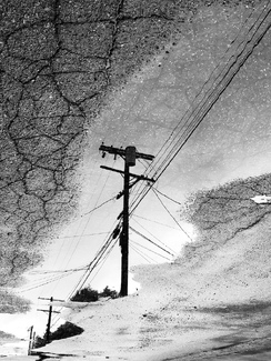 Alley Way Views Alley Way Views