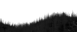 BACKLIT RIDGE BACKLIT RIDGE