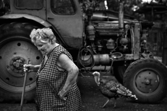 Farm, Hungary Farm, Hungary