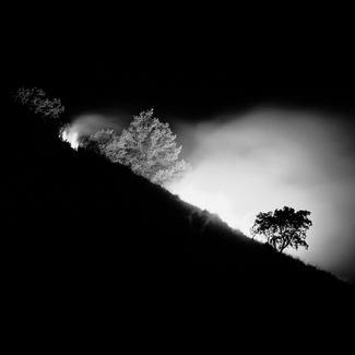 firenight no.3 firenight no.3