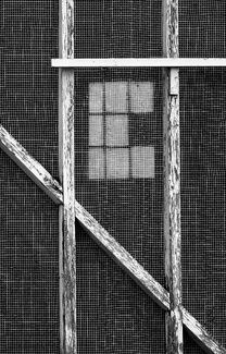 Looking Through Looking Through