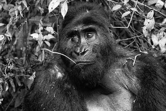 Whats up man? Whats up man?