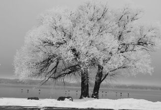 Taking Flight Taking Flight