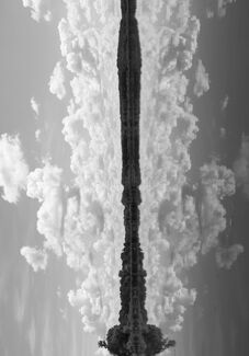 Rorschach Reflection Rorschach Reflection