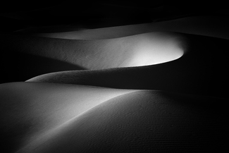 Nude Study Nude Study