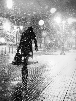 The winter lady The winter lady