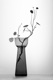 fine elegance fine elegance