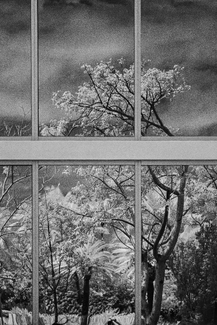 Reflections Reflections