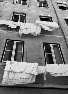 Lisbon laundry Lisbon laundry