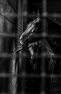 Hope Beyond Bars Hope Beyond Bars