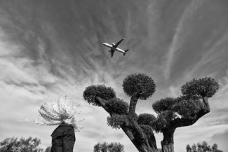 Craving for normal Craving for normal