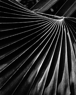 Convergence Convergence