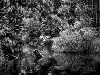 Time Forgotten Time Forgotten