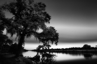 Until Tomorrow Until Tomorrow