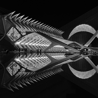 Exoskeleton Exoskeleton