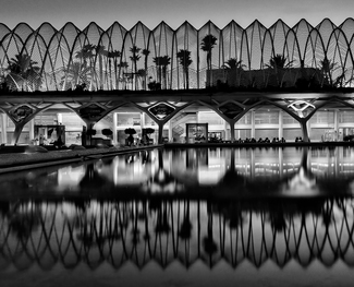 Life in a Slinky Life in a Slinky