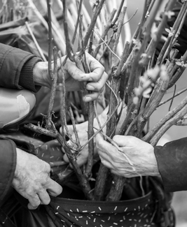 Helping hands Helping hands