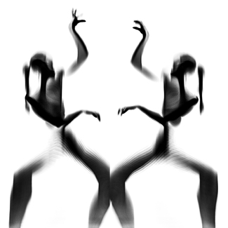 Primitive Shadows Primitive Shadows