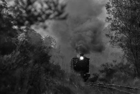 Steam Train 3265