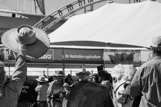 Sydney Royal Easter Show