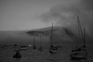 Palm Beach In Fog Palm Beach In Fog