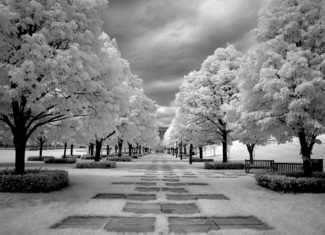 A black and white statement in infrared.