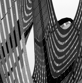 Pine Sanctuary No. 1, Riverwood, ON., 2022 Pine Sanctuary No. 1, Riverwood, ON., 2022