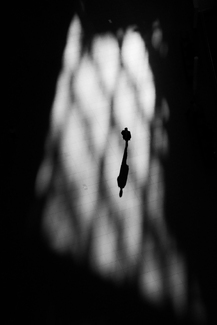 The world of emptiness The world of emptiness