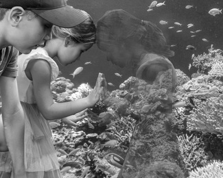 Collective Curiosity Collective Curiosity