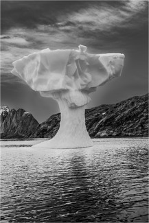 Ice Sculpture 1 Ice Sculpture 1