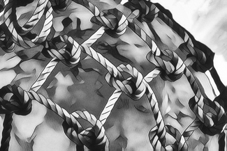 Roped In Roped In