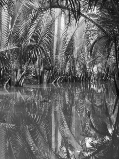Mekong No 2 Mekong No 2