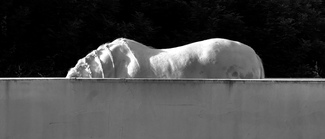 A horse with no name A horse with no name