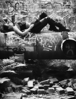 Order Out Of Chaos Order Out Of Chaos