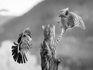 Kick the can Kick the can