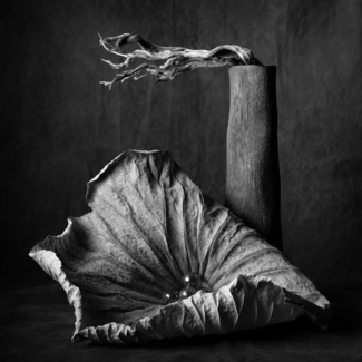 Lotus leaf with vase