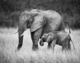 Mother and Child Mother and Child