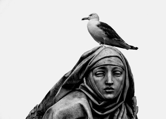 Resting Spot Resting Spot