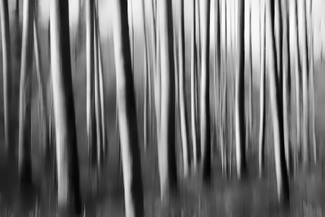 Beauty of lines Beauty of lines