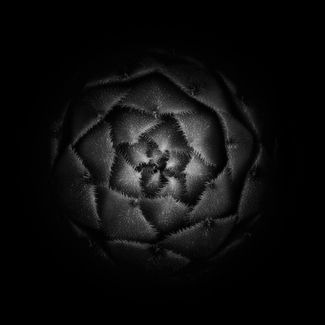 The Ball The Ball