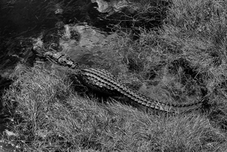 The Hidden Danger The Hidden Danger