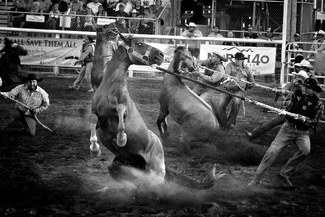 Breaking of The Mustangs Breaking of The Mustangs