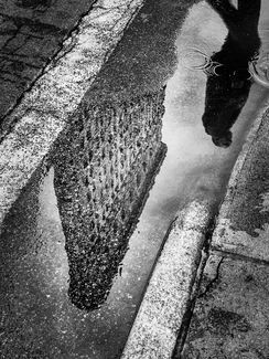 Flatiron Reflection Flatiron Reflection