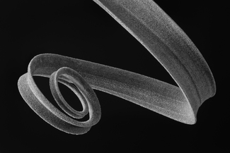 Botanical Spiral Botanical Spiral